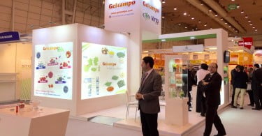 Edição 2015 a surpreender pela positiva apesar de ausências relevantes