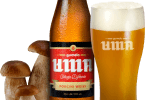 Gumelo UMA cerveja de cogumelos