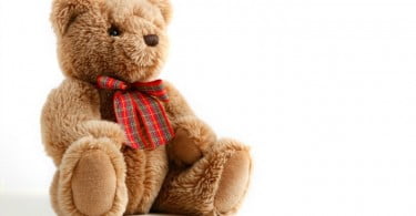 urso de peluche