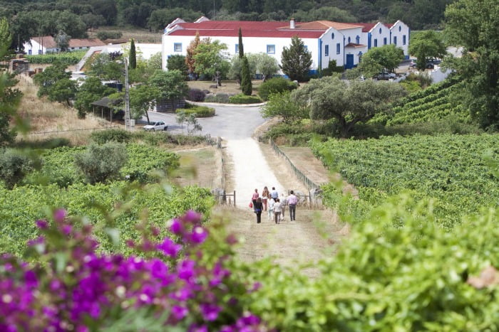 Monte da Ravasqueira quinta