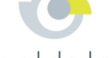 Seldata logo