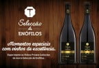 Seleção de Enófilos Intermarché