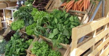 hortícolas mercado CAP