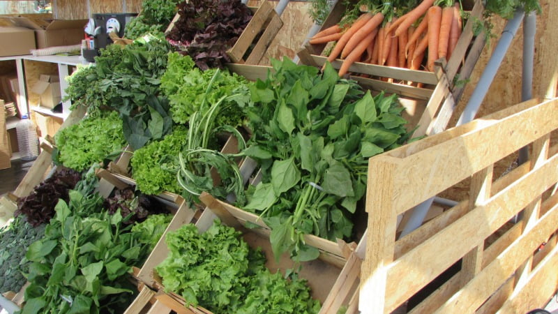 hortícolas mercado CAP