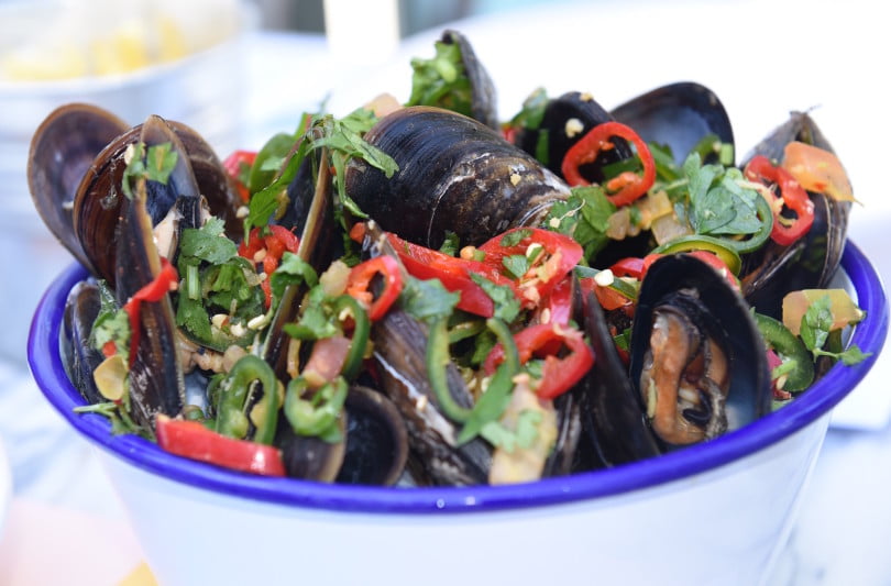 Moules CO Distribuição Hoje