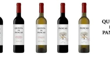 vinhos
