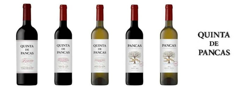 vinhos