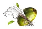 bebidas de coco