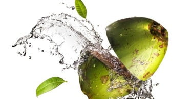 bebidas de coco