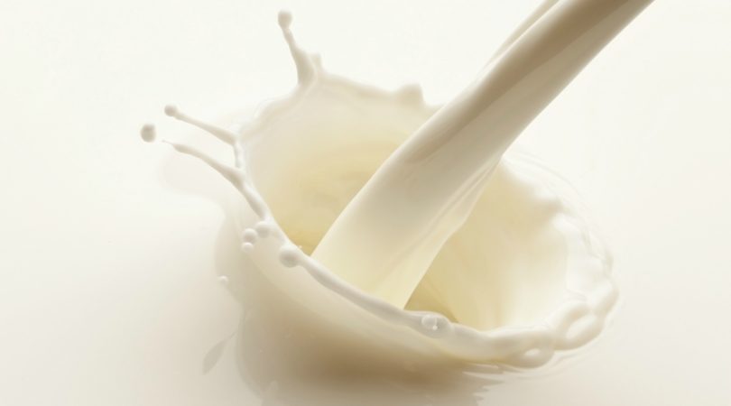 Laticínios