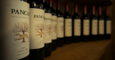 vinhos