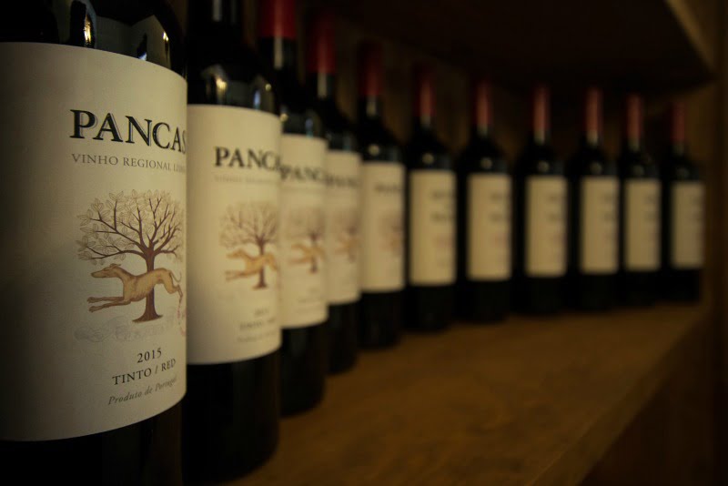 vinhos