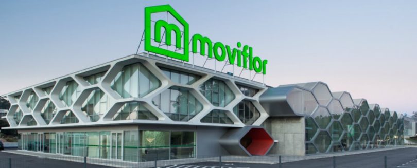 Moviflor loja de Coimbra Distribuição Hoje