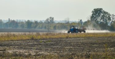 fertilização Vida Rural