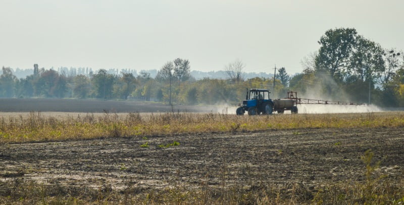 fertilização Vida Rural