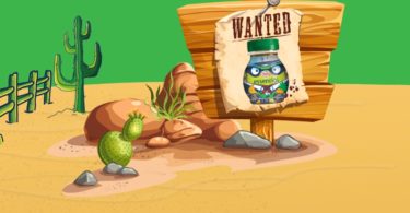 Compal Essencial Kids ª edição Distribuição Hoje
