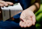sementes Monsanto Bayer Distribuição Hoje