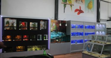 Agriloja Torres Novas Distribuição Hoje