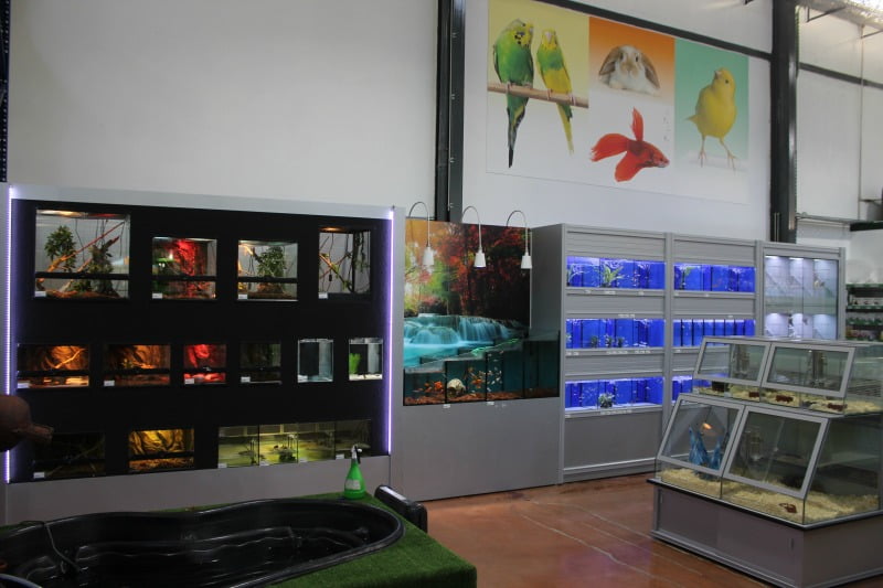 Agriloja Torres Novas Distribuição Hoje