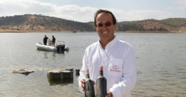 vinhos Ervideira