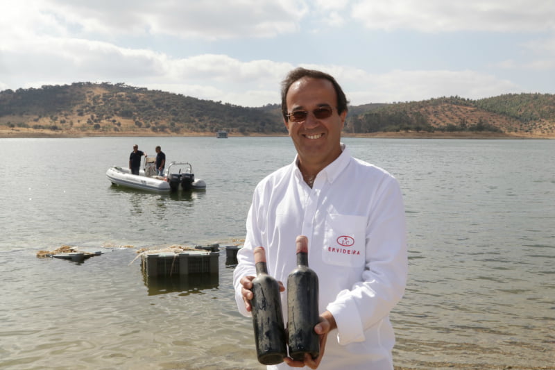vinhos Ervideira