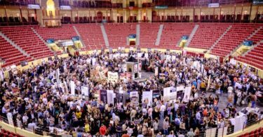 Mercado dos Vinhos do Campo Pequeno Distribuição Hoje