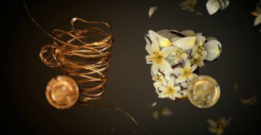 cafés Nespresso canal Horeca Distribuição Hoje