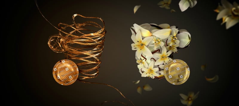 cafés Nespresso canal Horeca Distribuição Hoje