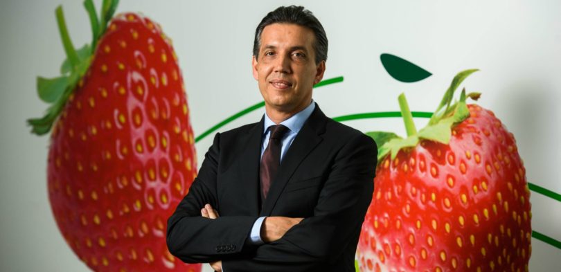 João Miranda CEO Grupo Frulact Distribuição Hoje