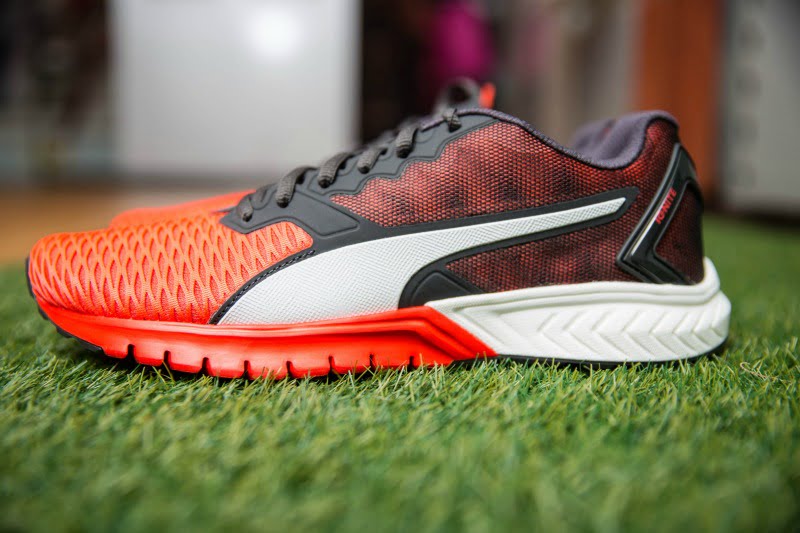 Puma Distribuição Hoje