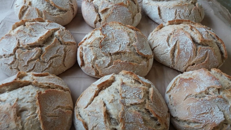 7 razões para incluir pão na dieta, de acordo com o Centro de Nutrição da Cerealis