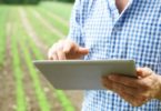 Internet das Coisas no agroalimentar