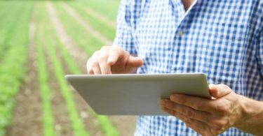 Internet das Coisas no agroalimentar