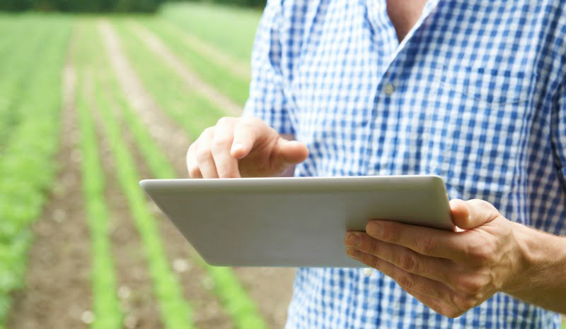 Internet das Coisas no agroalimentar