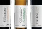 vinhos Adega Mayor