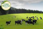 Instagram da Terra Nostra