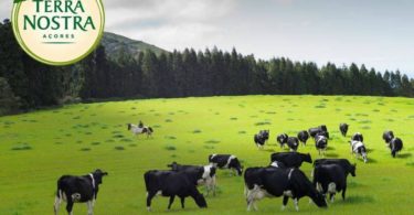 Instagram da Terra Nostra
