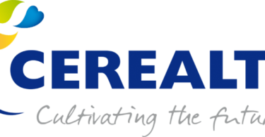 Cerealto logo Distribuição Hoje