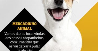 cão Alegro Alfragide Distribuição Hoje