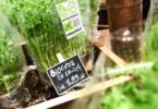 Lidl lidera vendas de biológicos em Espanha