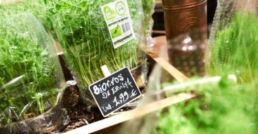 Lidl lidera vendas de biológicos em Espanha