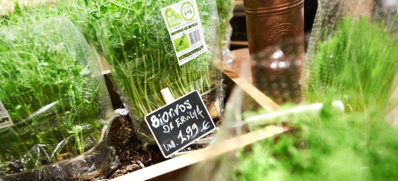 Lidl lidera vendas de biológicos em Espanha