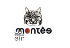 Gin Montês Distribuição Hoje