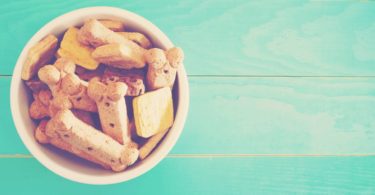 Petfood: alimentação natural, mix feedding e grain free são as tendências