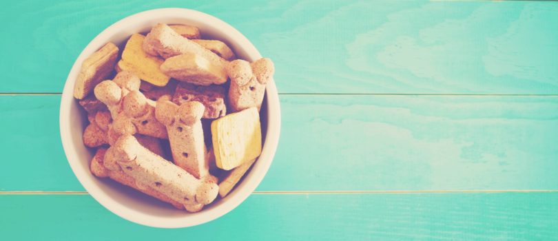 Petfood: alimentação natural, mix feedding e grain free são as tendências