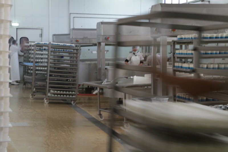 fábrica Tété - produção de queijos - Distribuição Hoje