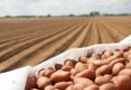 APED quer reforçar colaboração com a CAP e produção nacional