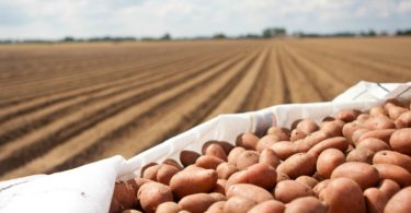 APED quer reforçar colaboração com a CAP e produção nacional