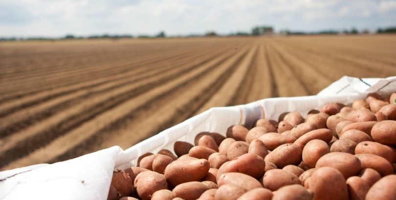 APED quer reforçar colaboração com a CAP e produção nacional