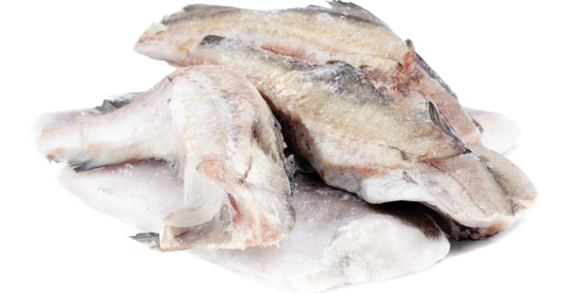 A Iglo à 'pesca' da presença em Folheto